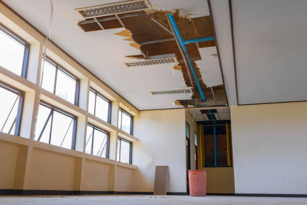 Best Carpet water damage restoration  in Godley, TX