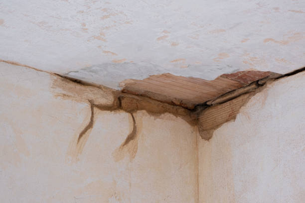Best Mold removal after water damage  in Godley, TX