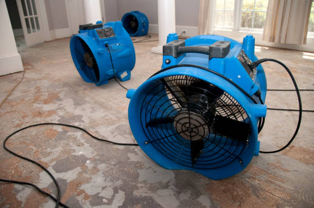 Local water damage restoration in Godley, TX